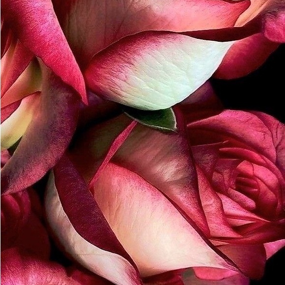 👛🥇💋✨ - Picture 2 of 2